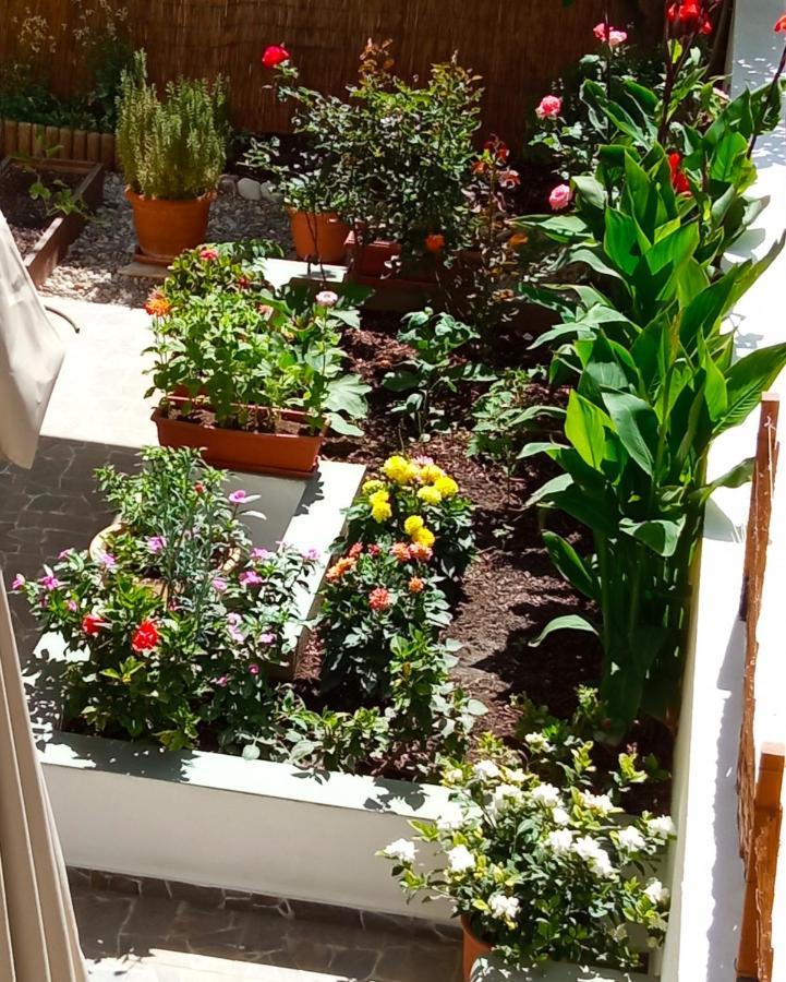 Charming Garden Apartment Rhodes City Værelse billede